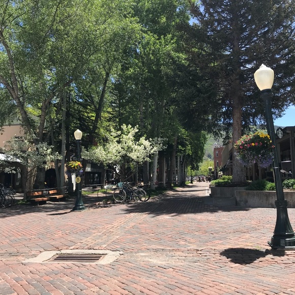 Meet your Posher, Nicolette - Picture 1 of 1